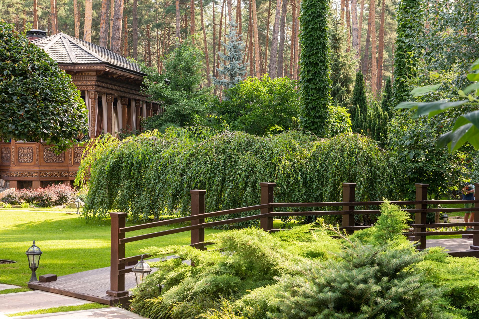 Garden with green plants and trees on grass near wooden pathway and gazebo in sunny summer day